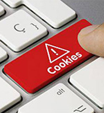 Comunicazione Netservice01 - COOKIE
